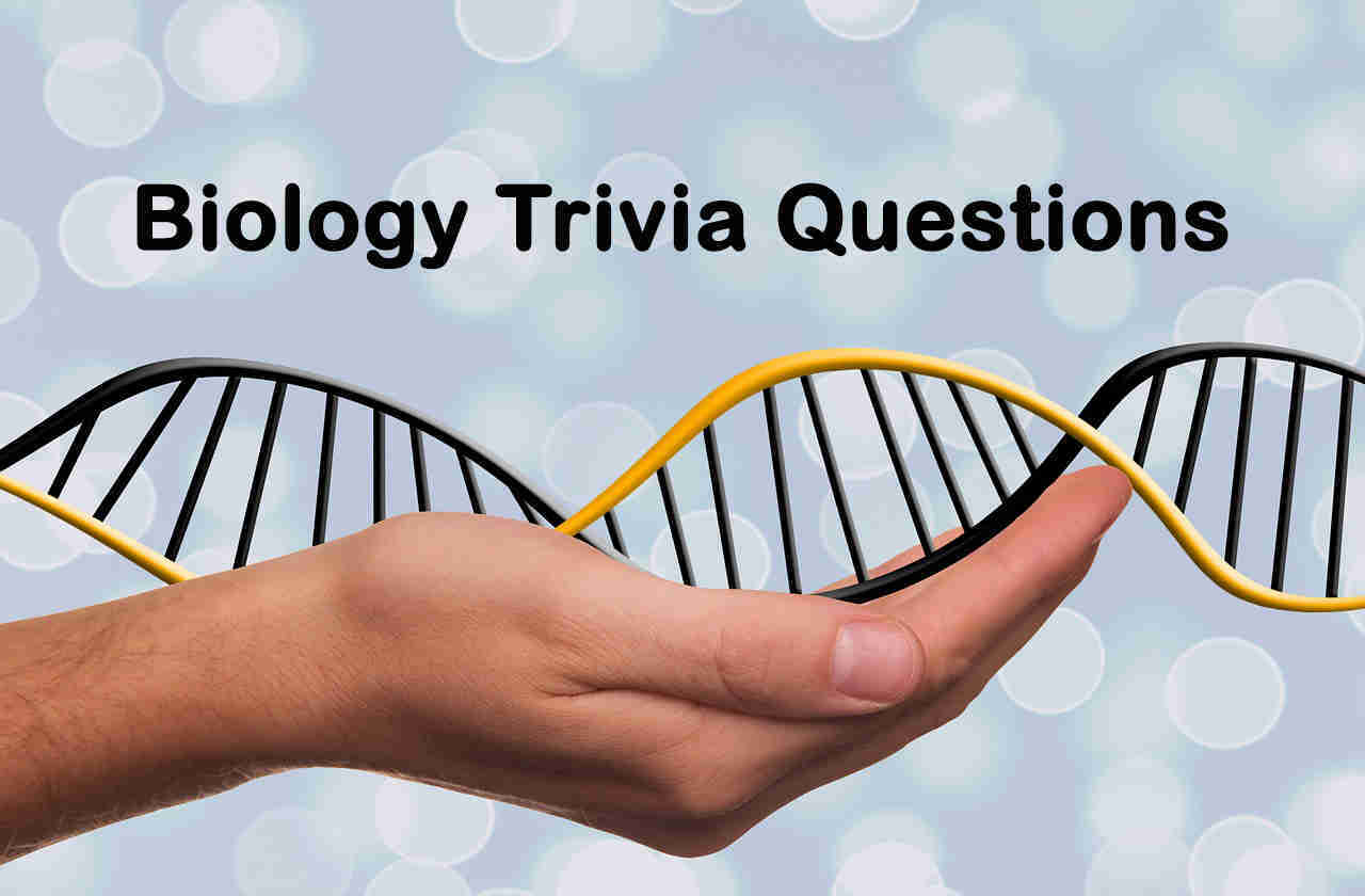 Biology Trivia Questions And Answers Topessaywriter
