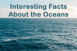 Interesting Facts About the Oceans - Oceans Facts