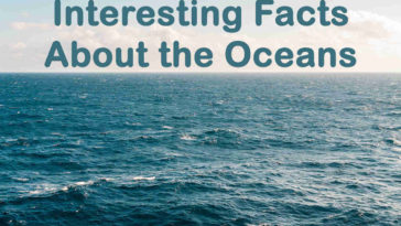 Interesting Facts About the Oceans - Oceans Facts