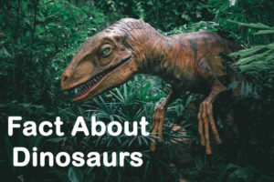 Interesting Facts about Dinosaurs 