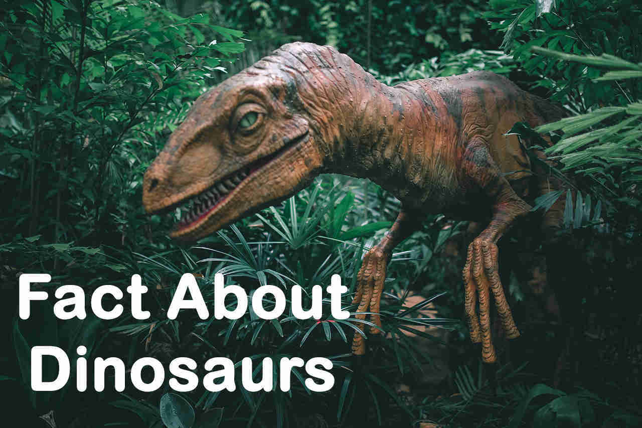 1000 facts of dinosaurs steve parker