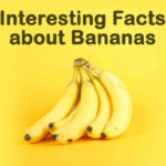 10 Interesting Facts about Bananas