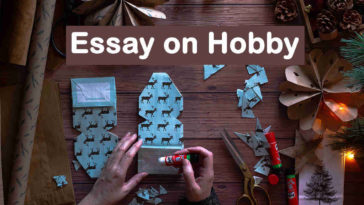 Essay on Hobby