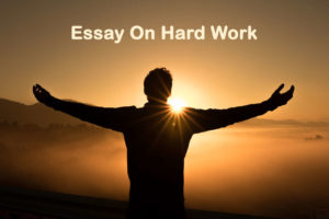 Essay On Hard Work - 800 Words Essay