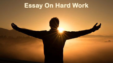 Essay On Hard Work - 800 Words Essay