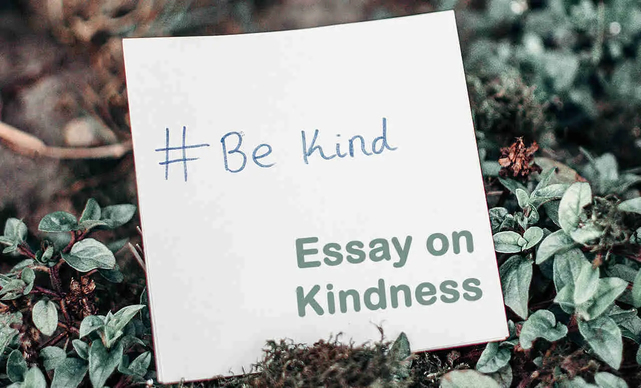 kindness words in essay