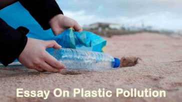 Essay On Plastic Pollution - 1200 Words Essay