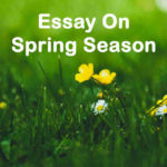 Essay On Spring Season - 1000 Words Essay