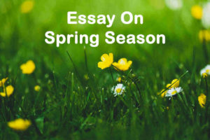 Essay On Spring Season - 1000 Words Essay