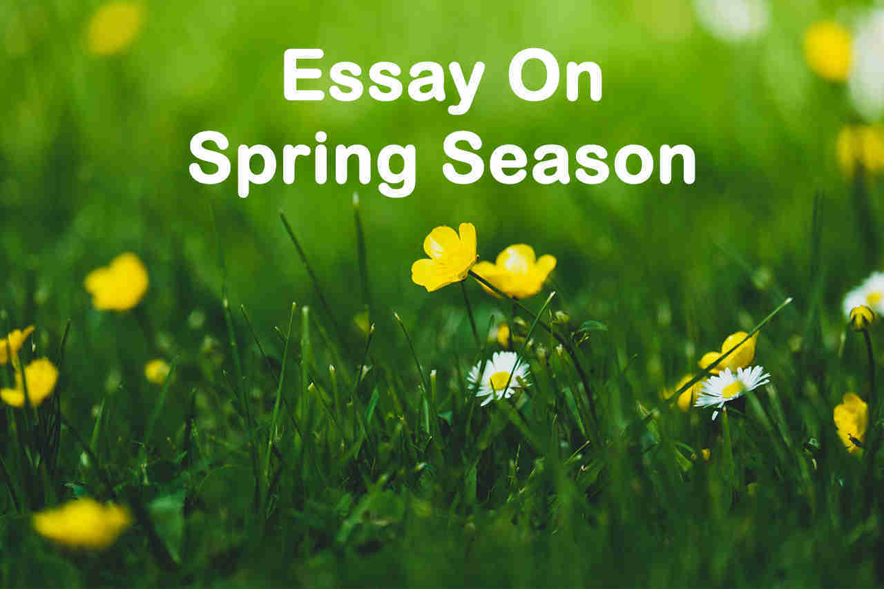 Essay On Spring Season - 1000 Words Essay - Topessaywriter