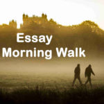 Essay on Morning Walk