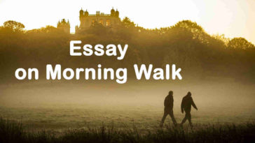 Essay on Morning Walk