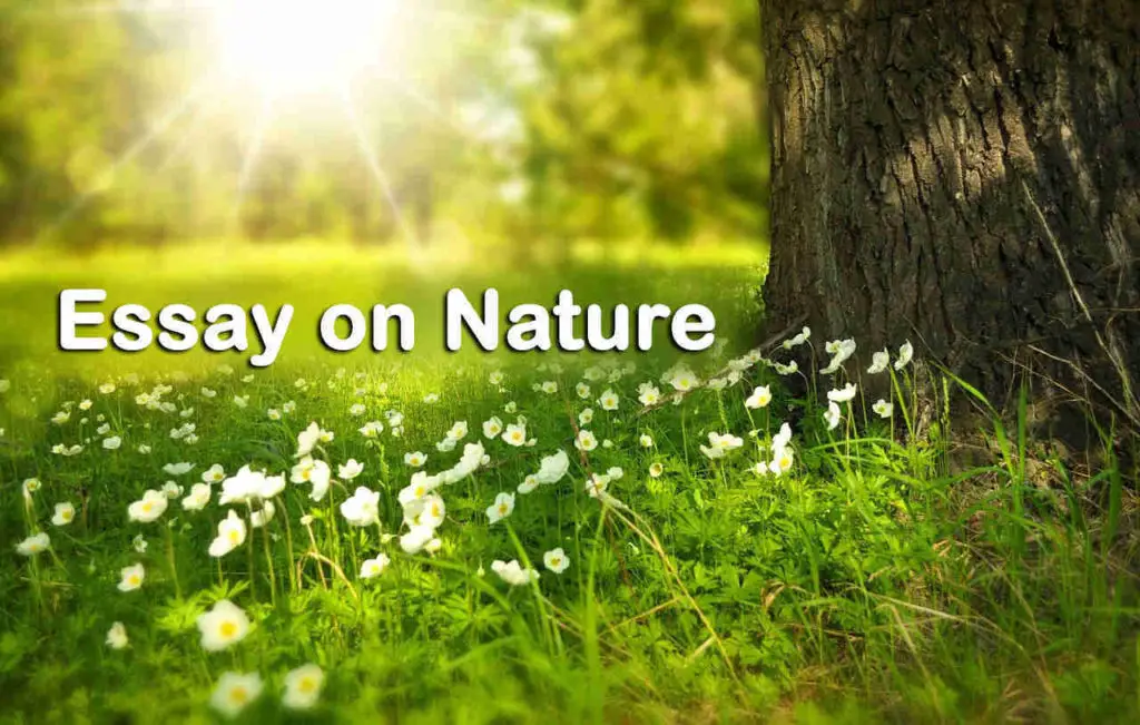 essay on nature provides us with much