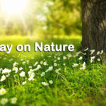 Essay on Nature For Students