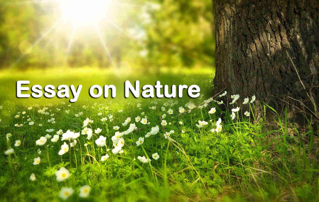 brugerdefinerede Enig med renere Essay on Nature For Students - Topessaywriter