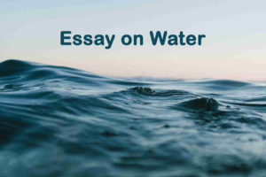Essay on Water - 1000 Words