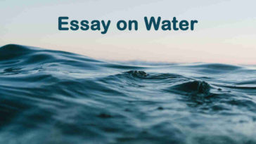 Essay on Water - 1000 Words