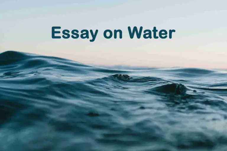 1000 word essay about water