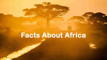 Top 20 Facts About Africa