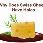 Why Does Swiss Cheese Have Holes - Swiss Cheese Facts