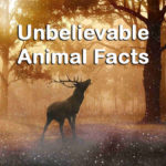 12 Unbelievable Animal Facts That Are Actually True