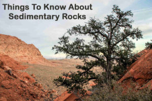 Things To Know About Sedimentary Rocks