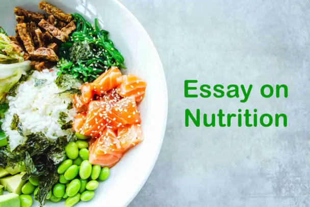 Essay On Nutrition - 2000 Words Essay - Topessaywriter