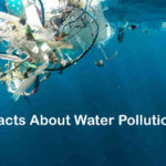 Facts About Water Pollution - Everything You Need To Know