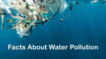 Facts About Water Pollution - Everything You Need To Know